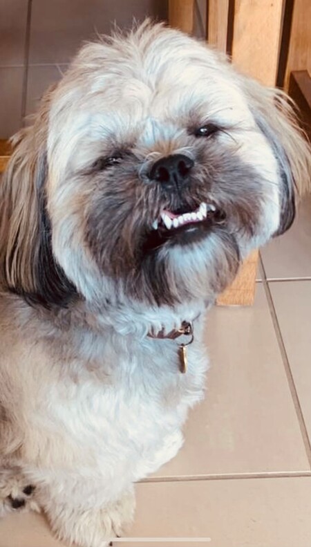 Finnegan
