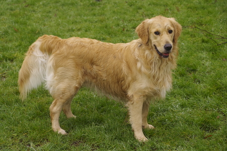 Ragnar (Raggie)