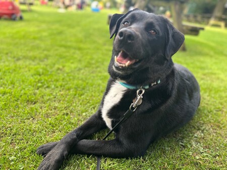 Skye