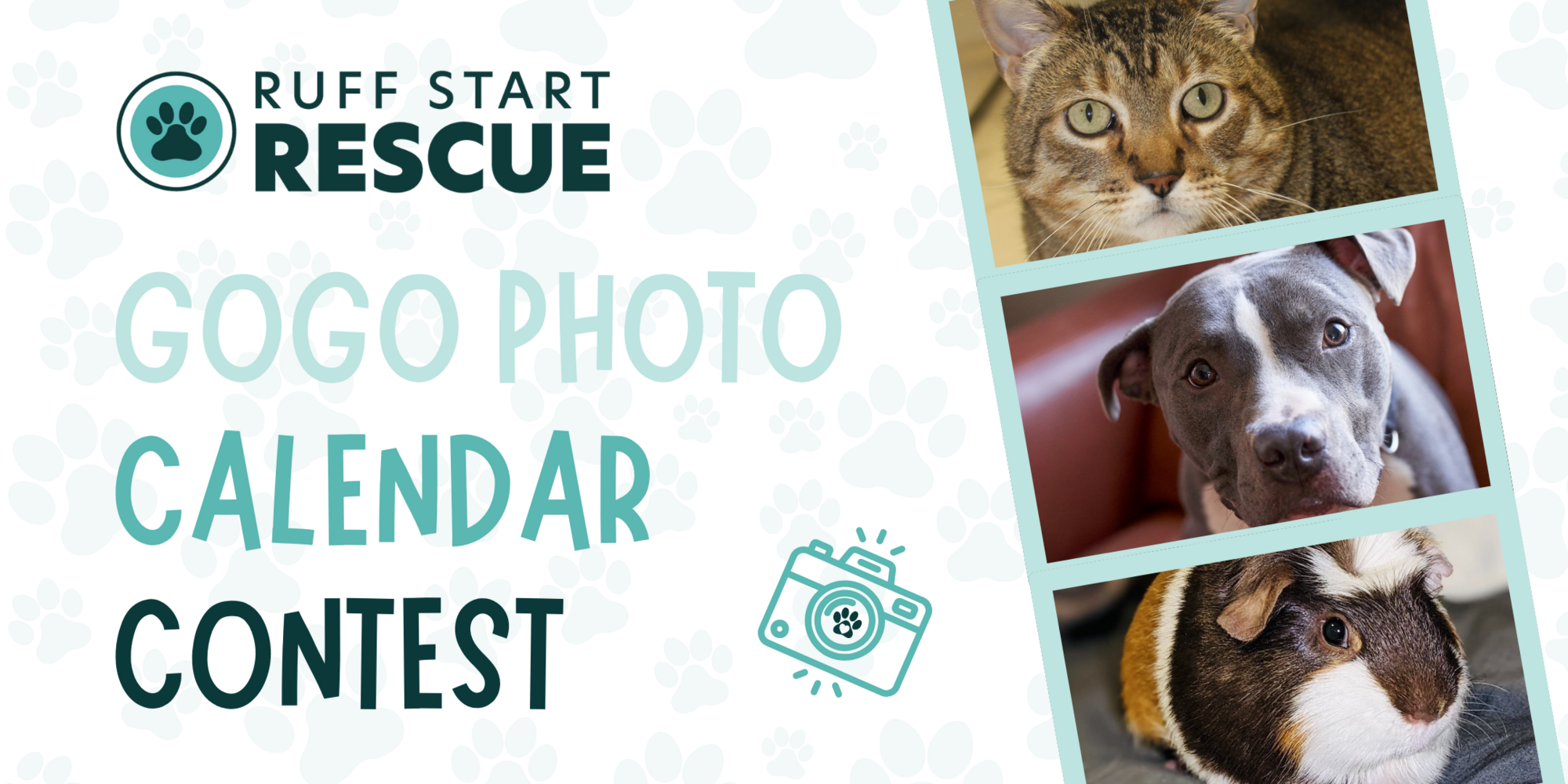 Ruff Start Rescue | 2025 Ruff Start Calendar Contest