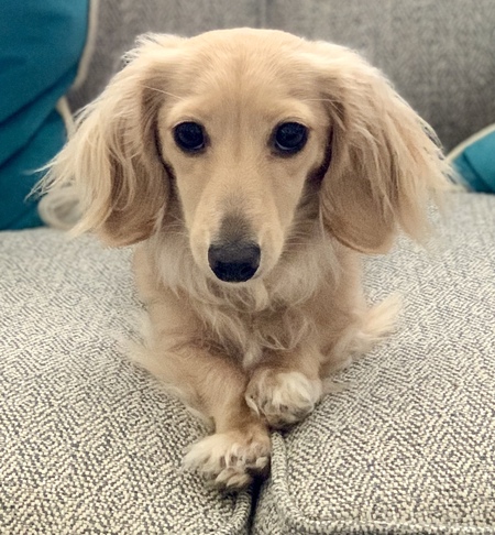 Millie