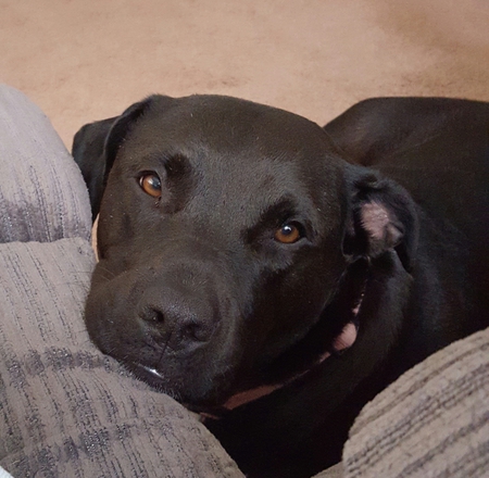 Fiona