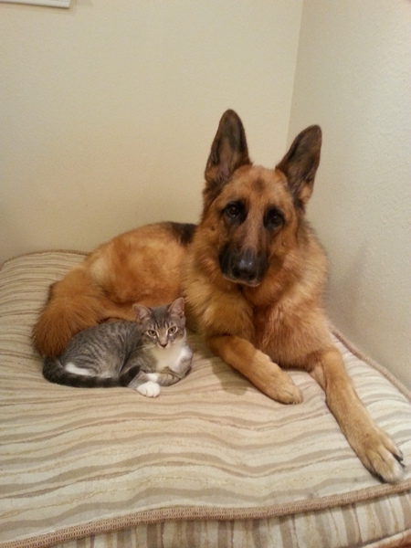 Nahla & Smokey