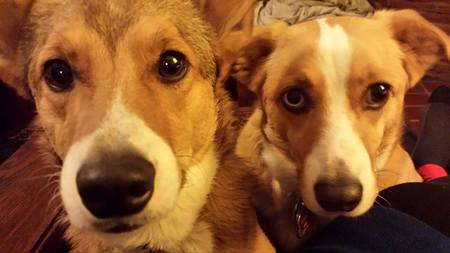 Sir William and Lady Bonnie