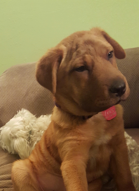 Zoey