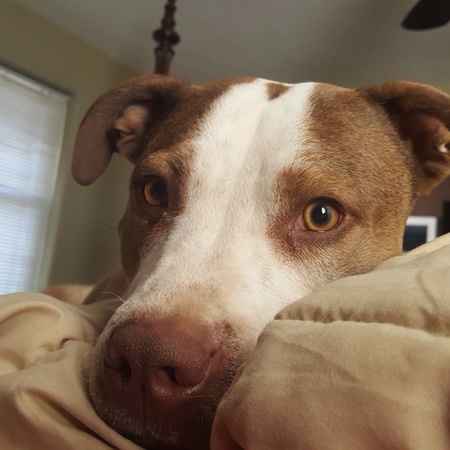 Jax