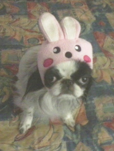 Penelope P. Picklesworth