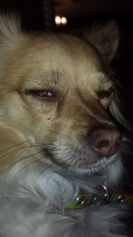 Jax