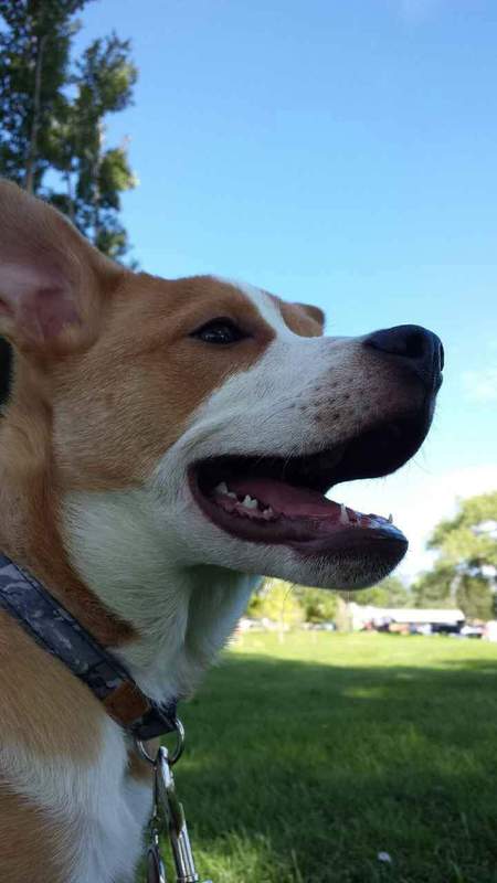 Axle