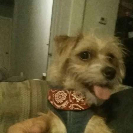 Dixie