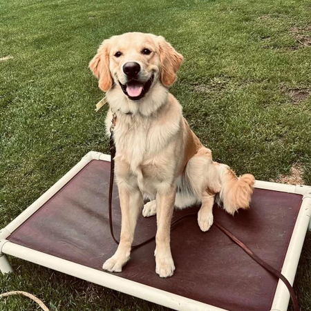 Gus