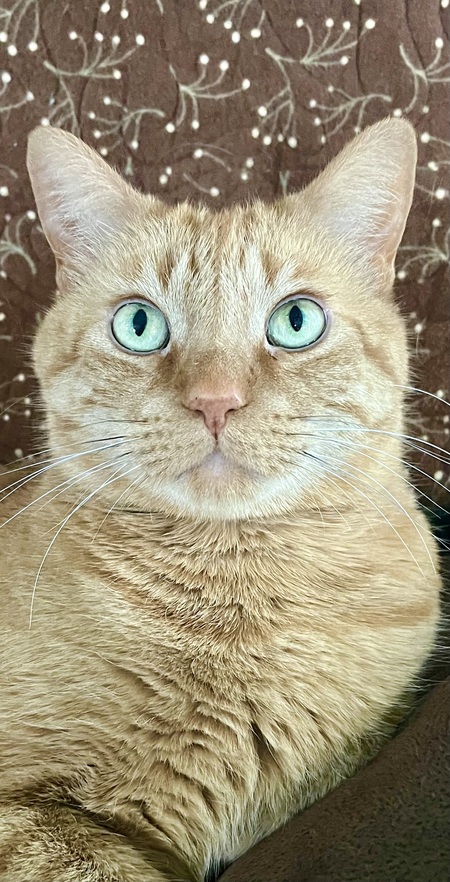 Henry