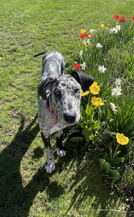 Winifred 