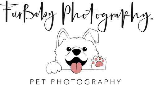 https://www.furbabyphotographyco.com/