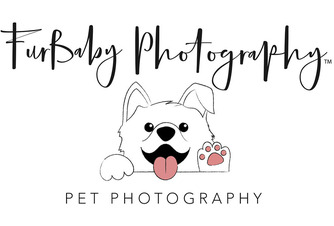 https://www.furbabyphotographyco.com/