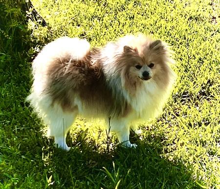 Nick