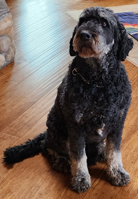 Tuckerman
