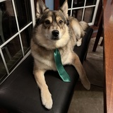 Entry image for Loki