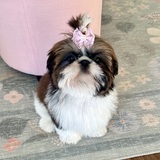 Entry image for Louise