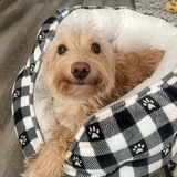 Entry image for Missy
