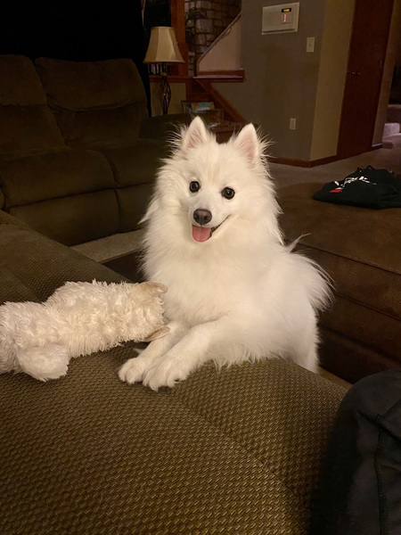 Entry image for Coby. Clicking this image will show a larger photo