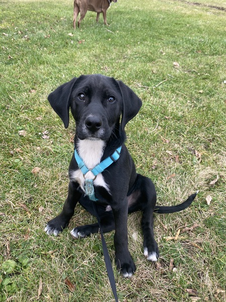 Entry image for Eddie. Clicking this image will show a larger photo