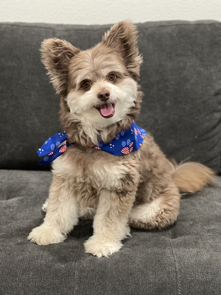 Max