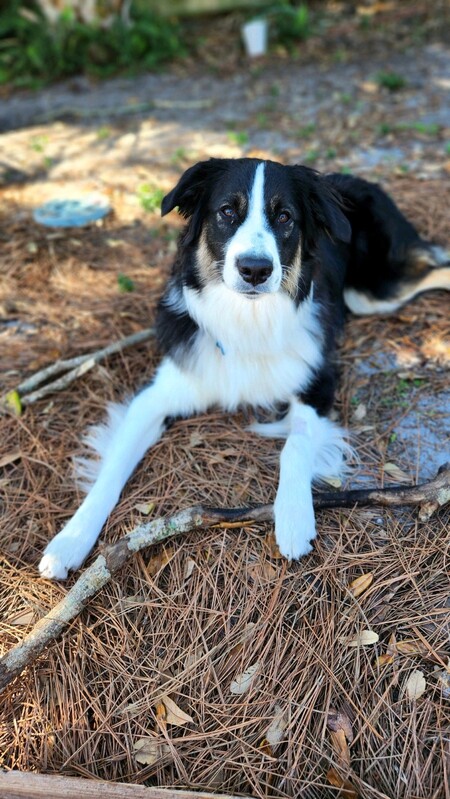 Zeke