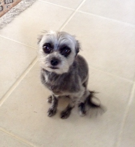 Duffy 