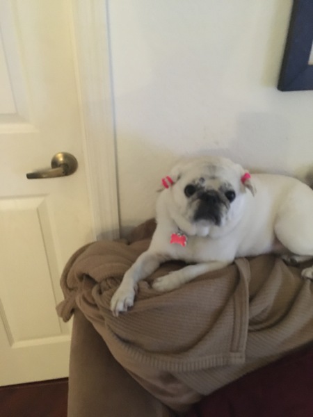 lulu
