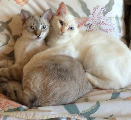 Dorrie & Sparkle