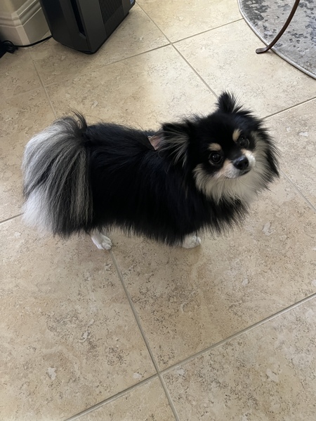 Jedidiah (Jeddy)