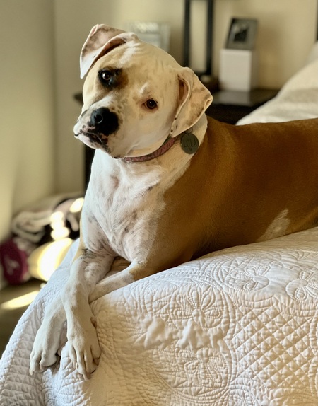 Lola