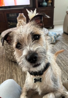 Archie