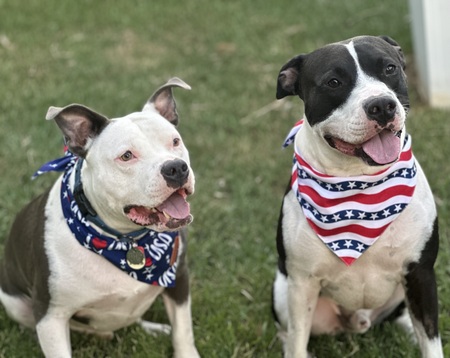 Reggie and Bryson 