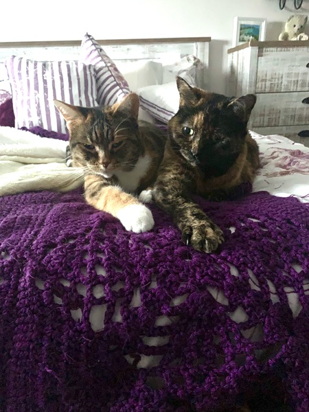 Daphne and Chloe
