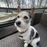 Entry image for Prudy