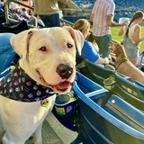 Entry image for Axel