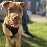 Entry image for Theodore Carl Bearington