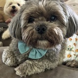 Entry image for Luigi