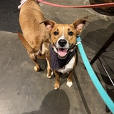 Entry image for Murphy 