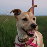 Entry image for Winnie