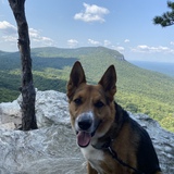 Entry image for Duncan