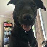 Entry image for Maeve