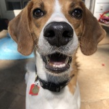 Entry image for Knox