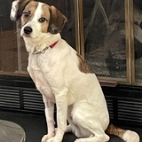 Entry image for Gus Gustofferson 