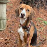 Entry image for Perkins