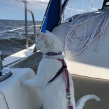 Entry image for Abby