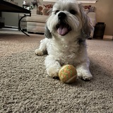 Entry image for Henry