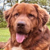 Entry image for Maverick 